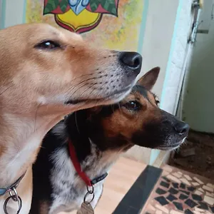  Séjour chez l'habitant Baba Luru's